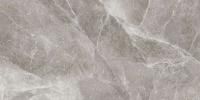 Керамическая плитка настенная Global Tile Будущее / Futuris Сер. 30x60, GT200VG