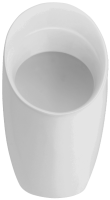 Писсуар Jacob Delafon PATIO /33.5х63.2х30/, E1545-00