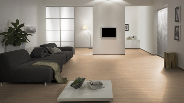 Ламинат Kronotex Dynamic Plus  Клен 1380х193 мм, D4636